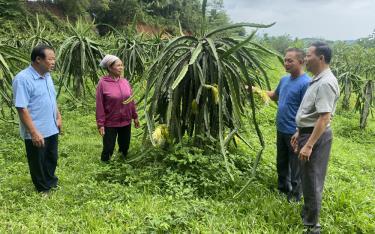 Đảng viên Tô Văn Hộ, thôn Cà Lồ, xã Xuân Lai, huyện Yên Bình (thứ 2, bên phải) phát triển mô hình kinh tế tổng hợp hiệu quả.