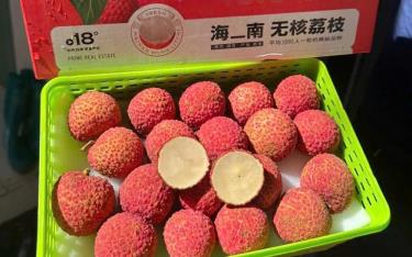 Vải không hạt Trung Quốc được bán giá 650.000 đồng/kg tại Việt Nam.