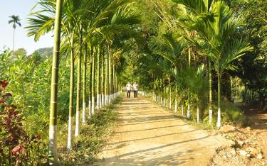 Một tuyến đường nông thôn xanh - sạch - đẹp ở xã Mai Sơn.