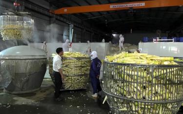 Công nhân Công ty TNHH Yamazaki Việt Nam chế biến măng tre Bát độ.