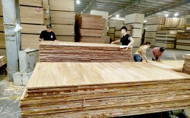 Chế biến gỗ rừng trồng tại Công ty cổ phần Thương mại Sản xuất Kim Gia, KCN Phía Nam, tỉnh dafabet Bái