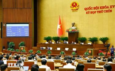 Quốc hội biểu quyết thông qua Nghị quyết của Quốc hội về việc thành lập Hội đồng bầu cử quốc gia.