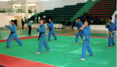 Võ Vovinam và Karatedo đang là một môn thể thao yêu thích của các bạn trẻ Yên Bái.