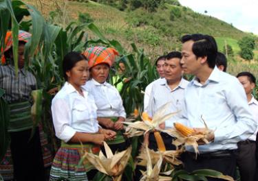 Đồng chí Đào Ngọc Dung cùng lãnh đạo các ngành kiểm tra ngô xuân hè tại xã Xà Hồ.
