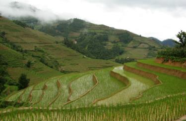 Ruộng bậc thang ở vùng cao Trạm Tấu (Yên Bái).