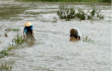 Xúc cá khi lũ về là 1 trong những nguyên nhân gây thiệt hại tính mạng người dân. Ảnh MQ