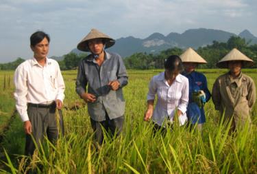 Ông Phạm Ngọc Quảng (ngoài cùng bên trái) - Bí thư Đảng ủy, Chủ tịch UBND xã Minh Xuân gặp gỡ, thăm hỏi nhân dân.
