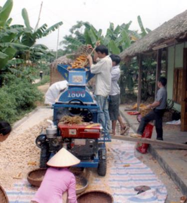 Nông dân Lục Yên sử dụng máy tẽ ngô giúp giảm công lao động.