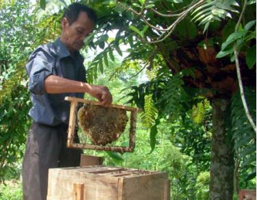 Thương tật đầy người nhưng ông Lập chưa khi nào cam chịu cuộc sống đói nghèo.