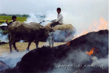 Khói đồng chiều.
(Ảnh: Thu Chung)