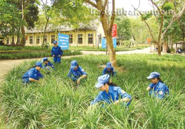 Hội Phụ nữ Nhà máy Z183 tích cực tham gia phong trào trồng cây mạch môn.