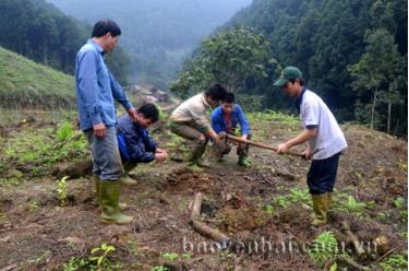 Nông dân xã Đào Thịnh trồng rừng vụ xuân.