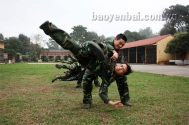 Phong trào “Huấn luyện giỏi, kỷ luật nghiêm, sẵn sàng chiến đấu cao” đã mang lại nhiều hiệu quả thiết thực trong công tác xây dựng lực lượng.
