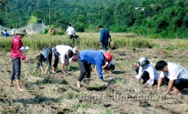 Sự đầu tư của Nhà nước giúp người dân được tiếp cận nhiều hơn với khoa học kỹ thuật tập trung phát triển sản xuất.
