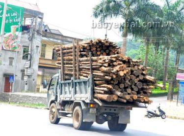 Các loại xe tải từ nhỏ đến lớn đều dùng nhiều cách cơi nới thùng xe để chở thêm hàng.
