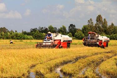 Cho vay nông nghiệp - Cuộc đua mới của các ngân hàng thương mại.