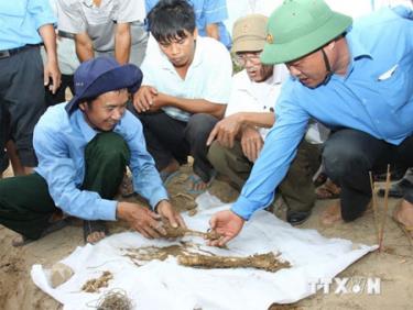 Khai quật hài cốt liệt sỹ.