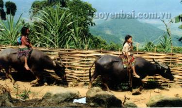 Mùa hè quê mẹ.
(Ảnh: Đoàn Thanh Hà)