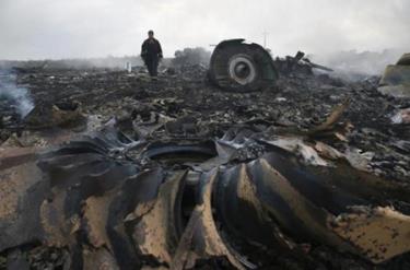 Hiện trường vụ máy bay MH17 rơi tại Donetsk thán 7/2014.