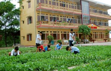 Ngoài giờ học tập, các em được tham gia trồng rau, nuôi lợn góp phần cải thiện bữa ăn hàng ngày.
