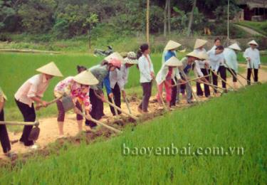 Phụ nữ xã Ngọc Chấn tham gia làm đường giao thông nông thôn.
