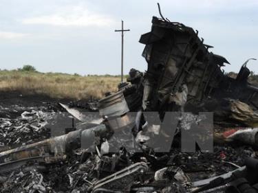 Xác máy bay MH17 tại khu vực rơi, gần thị trấn Shaktarsk, miền đông Ukraine.