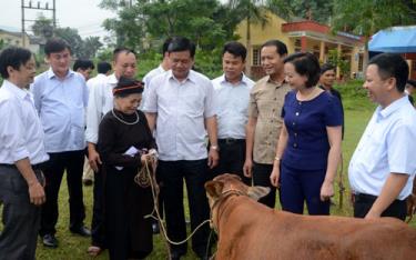 Bộ trưởng Bộ Giao thông Vận tải Đinh La Thăng trao bò cho các hộ nghèo, hộ người có công tại xã Bảo Ái, huyện Yên Bình