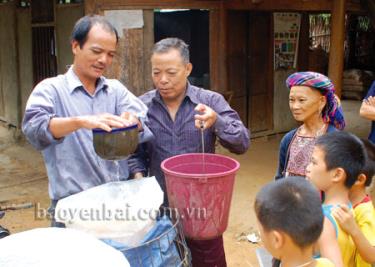 Ông Triệu Viết Ngoày (thứ hai từ trái sang) là người có uy tín ở thôn Ngòi Mấy, xã Bảo Ái (Yên Bình) thường xuyên cùng với cấp uỷ, chính quyền cơ sở vận động nhân dân lao động sản xuất, phát triển kinh tế địa phương.