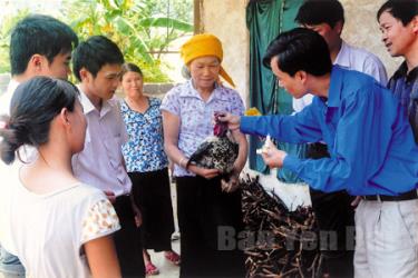 Hỗ trợ dịch vụ kỹ thuật sản xuất nông nghiệp là một nhu cầu cấp thiết của nông dân hiện nay. (Ảnh minh họa - H.N)