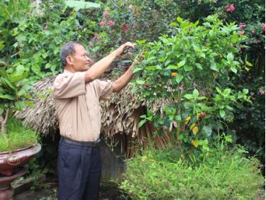 Ông Hà Văn Định chăm sóc cây cảnh trong vườn nhà.