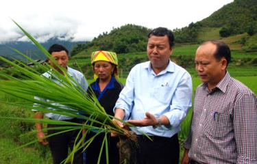 Đồng chí Vũ Tiến Đức – Phó Bí thư Huyện ủy, Chủ tịch UBND huyện Mù Cang Chải (thứ ba, trái sang) cùng lãnh đạo Phòng Nông nghiệp và PTNT huyện và lãnh đạo xã Nậm Khắt thăm đồng ruộng của bà con nhân dân tại xã Nậm Khắt.