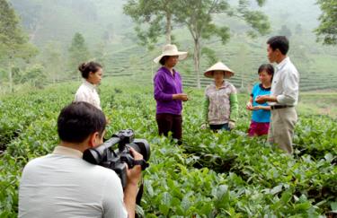 Phóng viên Báo Yên Bái thực hiện ghi hình tại xã Hưng Khánh, huyện Trấn Yên. Ảnh MQ