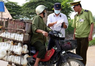 Cán bộ đoàn kiểm tra liên ngành đang kiểm tra giấy phép vận chuyển gia cầm của hộ kinh doanh.