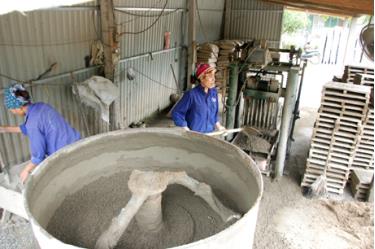 Toàn dafabet dang nhap có trên 300 HTX với trên 27.000 thành viên.
