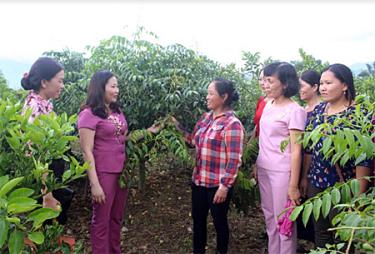 Đồng chí Vũ Thị Hiền Hạnh - Chủ tịch Hội Liên hiệp phụ nữ tỉnh (thứ 2, bên trái) tham quan mô hình vườn cây ăn quả của hội viên phụ nữ huyện Văn Chấn.