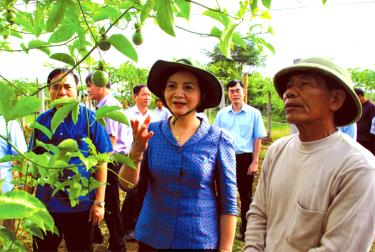 Đồng chí Phạm Thị Thanh Trà - Ủy viên Ban Chấp hành Trung ương Đảng, Bí thư Tỉnh ủy, Chủ tịch HĐND tỉnh thăm mô hình trồng chanh leo tại xã Phù Nham, huyện Văn Chấn.