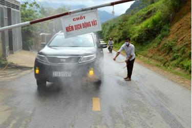 Chốt kiểm dịch động vật tạm thời tại xã Cao Phạ duy trì trực 24/24 giờ để kiểm soát, phun tiêu độc khử trùng các phương tiện giao thông qua địa bàn.