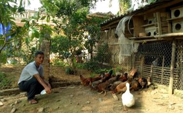 Cựu chiến binh Trần Thanh Nhàn trong cuộc sống lao động, sản xuất hàng ngày.