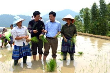 Lãnh đạo xã Phong Dụ Thượng trao đổi với nhân dân thôn Khe Táu về việc canh tác lúa nước.