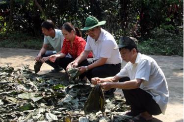 Ông Giàng A Câu - Chủ tịch Hội Nông dân tỉnh thăm Tổ hợp tác Trồng cây dược liệu, xã Cường Thịnh, huyện Trấn Yên.