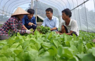 Lãnh đạo và cán bộ nông nghiệp xã Âu Lâu kiểm tra sản xuất rau an toàn tại thôn Đầm Vông.