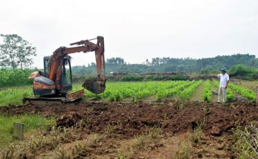 Trưởng thôn Trần Văn Toản trông coi công việc ở đầm Sen.