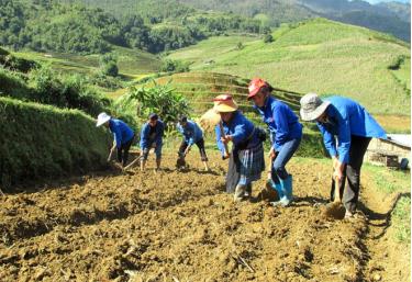 Đoàn viên thanh niên huyện Mù Cang Chải tình nguyện giúp nhân dân mở rộng diện tích ruộng bậc thang tại xã Chế Cu Nha.