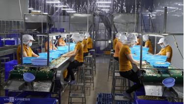 Công nhân một nhà máy điều ở Long An làm việc ngày 16/7, nơi đã tổ chức 