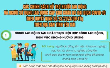 Đồ họa: Thủy Thanh