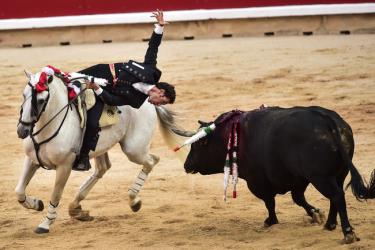 Lễ hội đua với bò tót nổi tiếng San Fermín ở thành phố Pamplona.