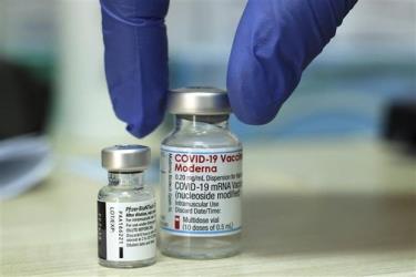 Vaccine ngừa COVID-19 của hãng Pfizer và Moderna.