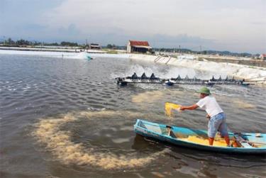 Tăng cường thực thi chính sách, pháp luật về bảo vệ môi trường trong các hoạt động thủy sản. (Ảnh minh họa)