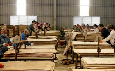 Các doanh nghiệp sản xuất chế biến gỗ 6 tháng đầu năm 2023 nộp ngân sách ước đạt 42,9 tỷ đồng, bằng 57,3% so với cùng kỳ.