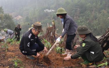 Cán bộ Kiểm lâm huyện Trấn Yên hướng dẫn người dân xã Việt Hồng, huyện Trấn Yên kỹ thuật trồng tre măng Bát Độ.